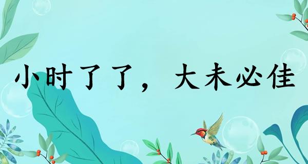 小时了了，大未必佳
