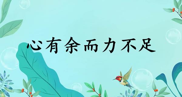 心有余而力不足