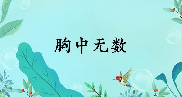 胸中无数