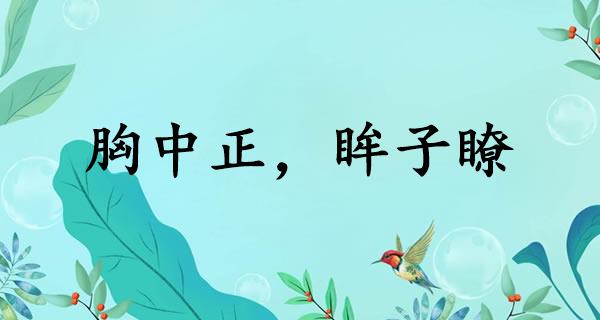 胸中正，眸子瞭