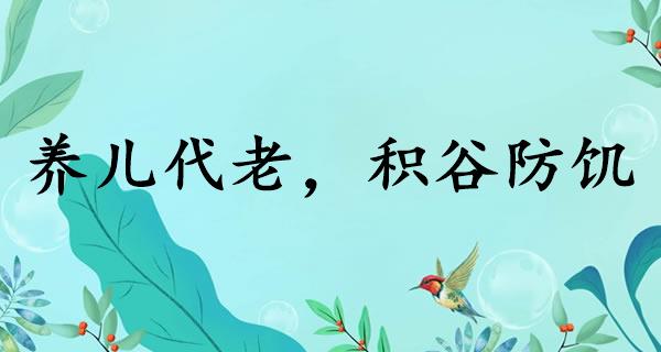 养儿代老，积谷防饥