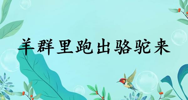 羊群里跑出骆驼来