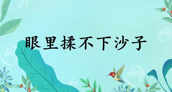 眼里揉不下沙子