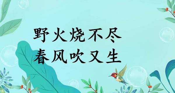 野火烧不尽,春风吹又生