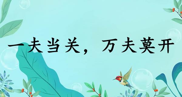一夫当关，万夫莫开