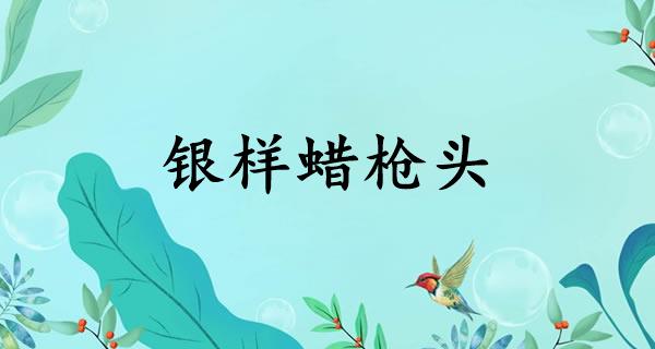 银样蜡枪头