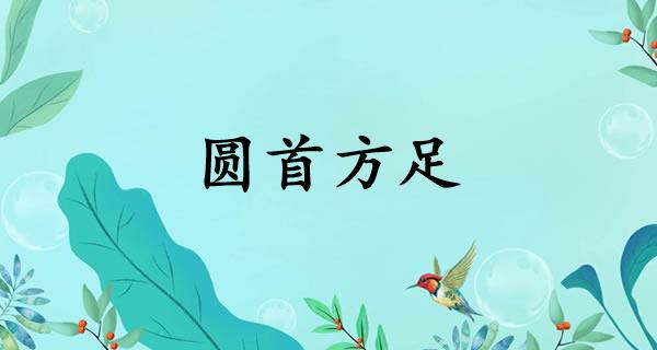 圆首方足