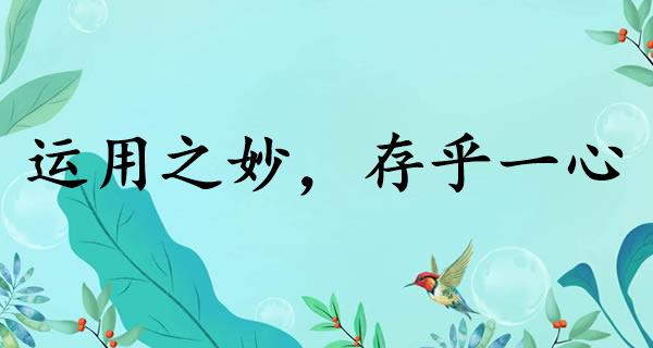 运用之妙,存乎一心