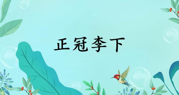 正冠李下