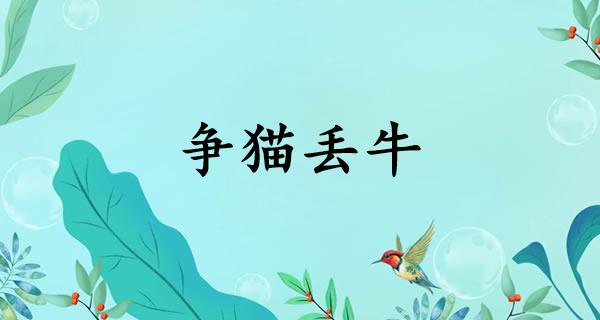 争猫丢牛