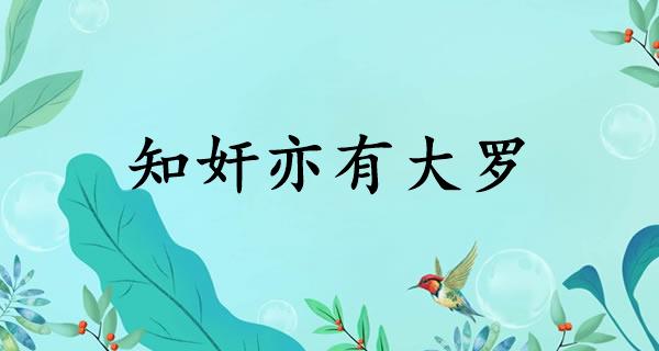 知奸亦有大罗