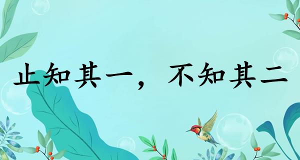 止知其一，不知其二