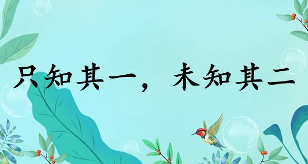 只知其一，未知其二